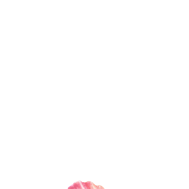 扶桑花 Kiss